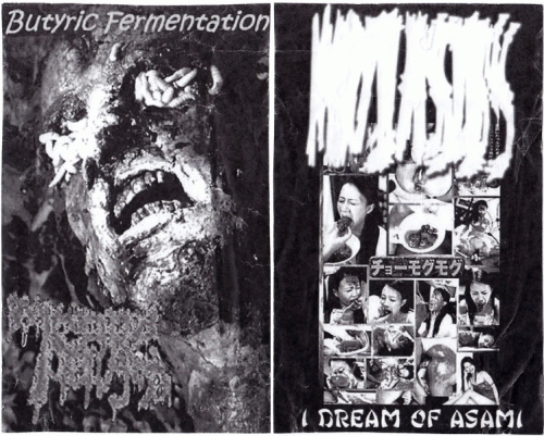 Pseudomonas Aeruginosa : Pseudomonas Aeruginosa - Myiasis